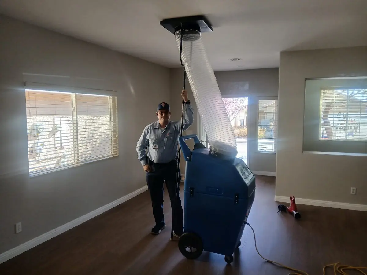 Professional Dryer Vent Cleaning work inside a Runnemede home
